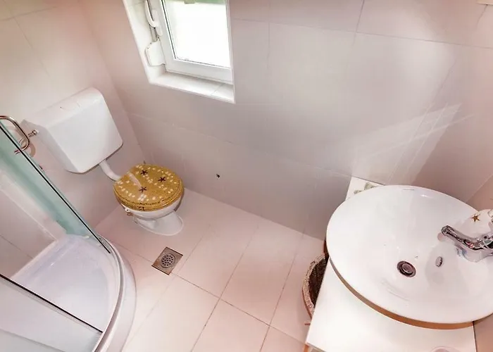 Lina * تْسْغيكفانِتْسا