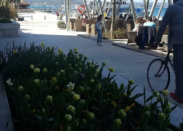 Lina بيت للعطل *